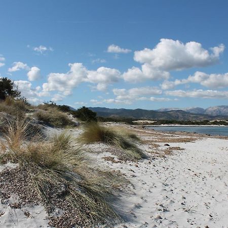 פורטו סן פאולו Vista Sul Mare E Tavolara Budoniaffitti מראה חיצוני תמונה