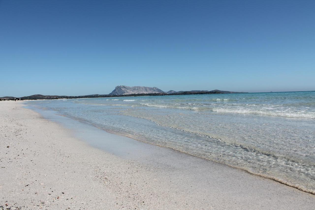 פורטו סן פאולו Vista Sul Mare E Tavolara Budoniaffitti מראה חיצוני תמונה