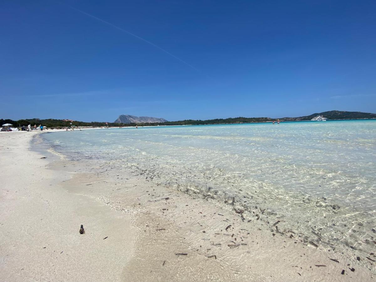 פורטו סן פאולו Vista Sul Mare E Tavolara Budoniaffitti מראה חיצוני תמונה
